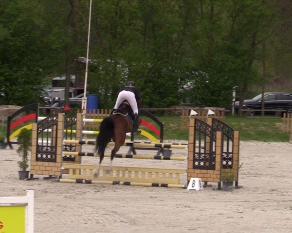 Reitturnier Pietzpuhl 2025