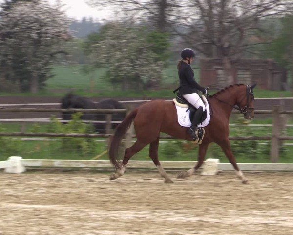 Reitturnier Warendorf, Reitstall am Rothenbach 2025