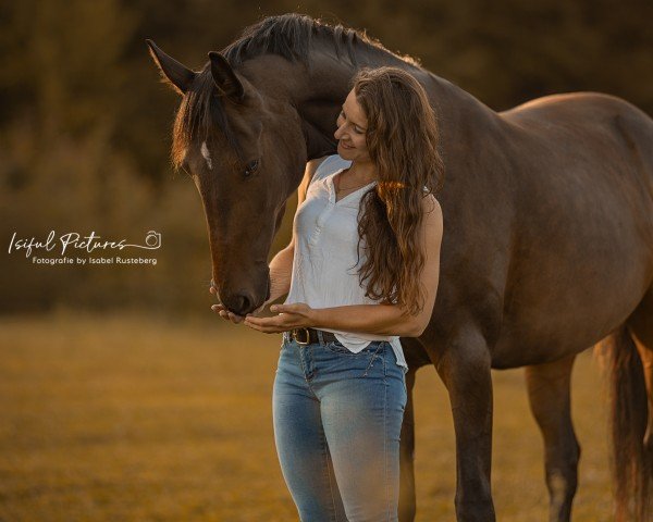 horse Ohana (Holsteiner, 2021, from Dubliner)