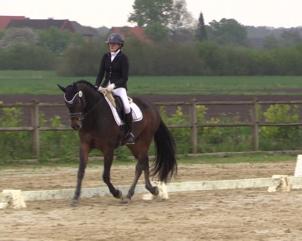 Reitturnier Warendorf, Reitstall am Rothenbach 2025