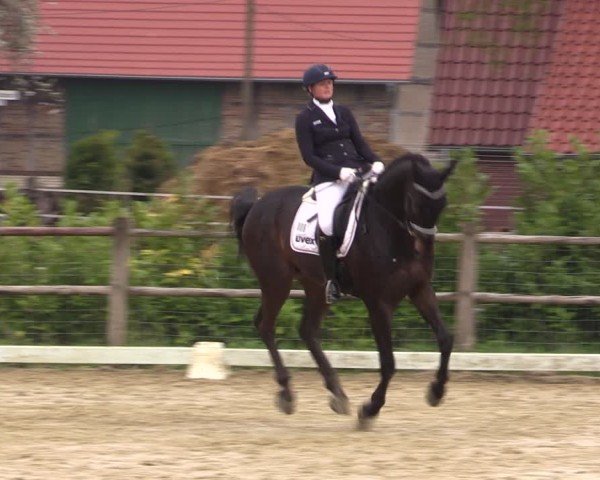 Reitturnier Warendorf, Reitstall am Rothenbach 2025