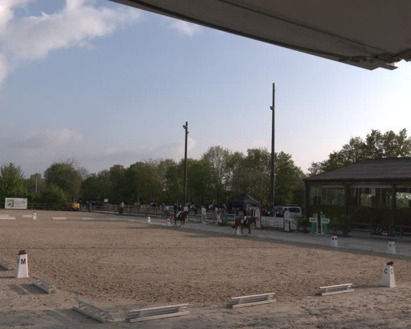Reitturnier Nienberge 2025