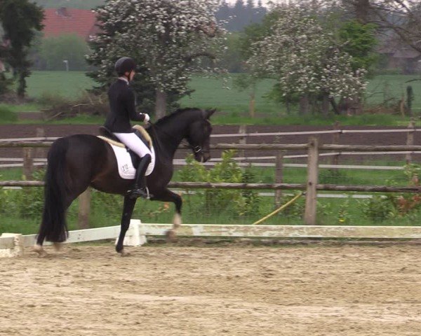 Reitturnier Warendorf, Reitstall am Rothenbach 2025