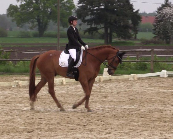 Reitturnier Warendorf, Reitstall am Rothenbach 2025