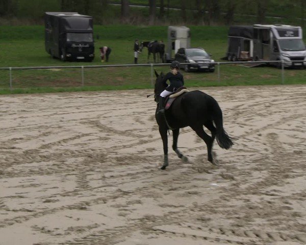 Reitturnier Bad Liebenstein 2025
