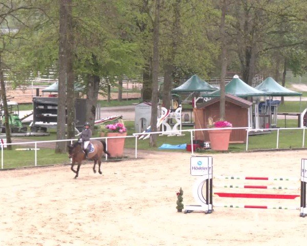 Internationales Springturnier Stadl-Paura 2025