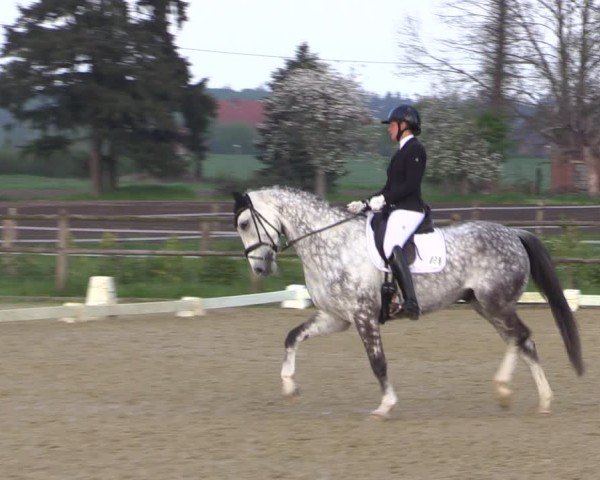 Reitturnier Warendorf, Reitstall am Rothenbach 2025
