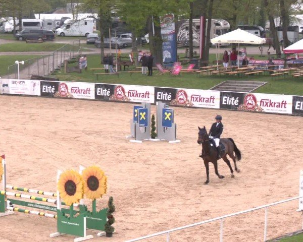 Internationales Springturnier Stadl-Paura 2025