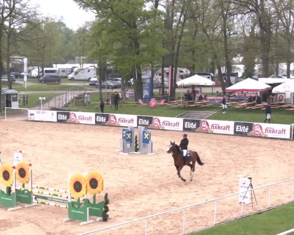 Internationales Springturnier Stadl-Paura 2025
