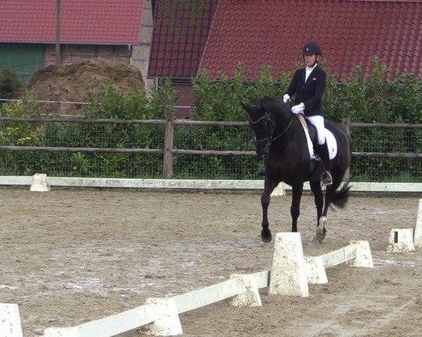 Reitturnier Warendorf, Reitstall am Rothenbach 2025