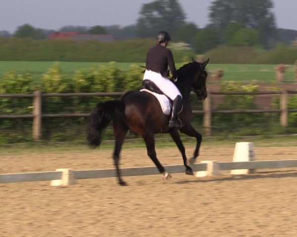 Reitturnier Warendorf, Reitstall am Rothenbach 2025
