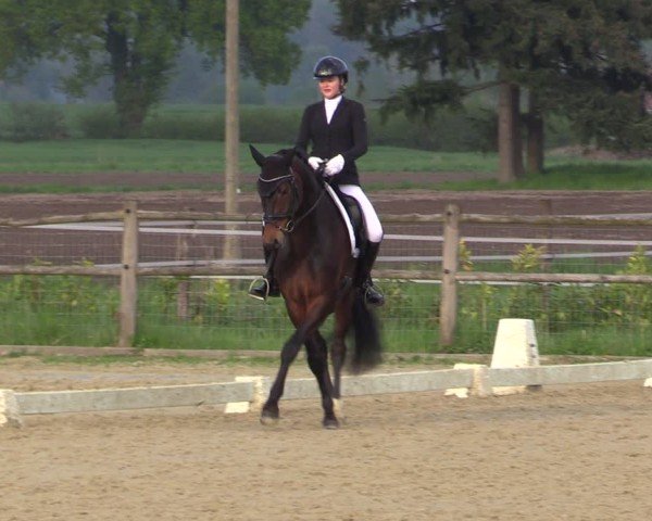 Reitturnier Warendorf, Reitstall am Rothenbach 2025