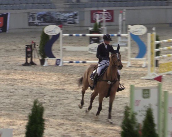 Reitturnier Aachen 2025