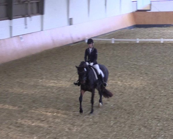 Reitturnier Datteln 2021