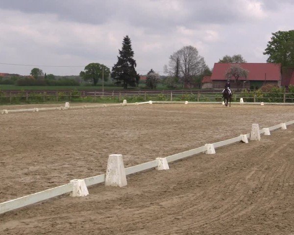 Reitturnier Warendorf, Reitstall am Rothenbach 2025