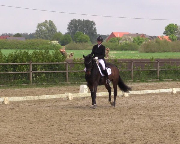 Reitturnier Warendorf, Reitstall am Rothenbach 2025