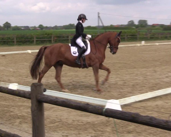 Reitturnier Warendorf, Reitstall am Rothenbach 2025