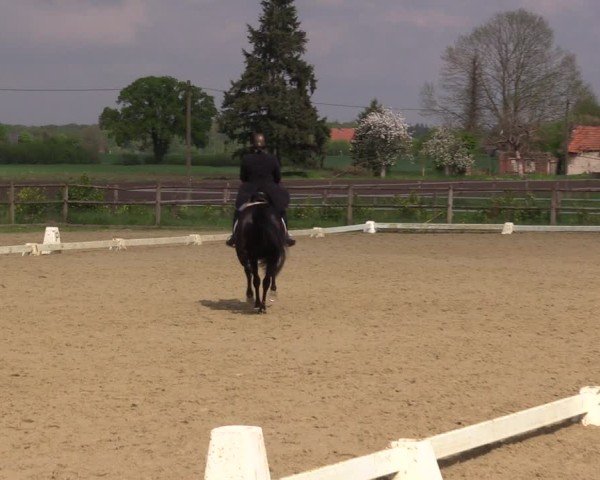 Reitturnier Warendorf, Reitstall am Rothenbach 2025