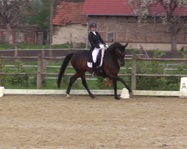 Reitturnier Warendorf, Reitstall am Rothenbach 2025