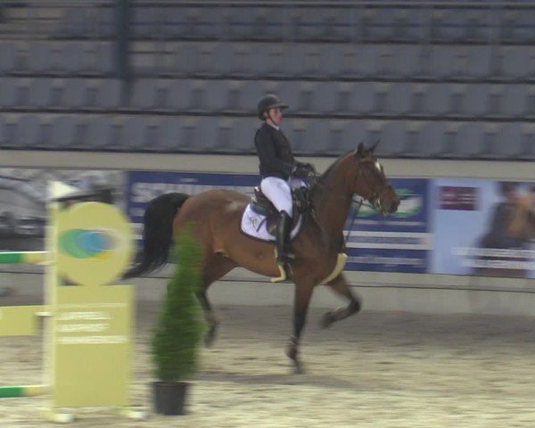 Reitturnier Aachen 2025