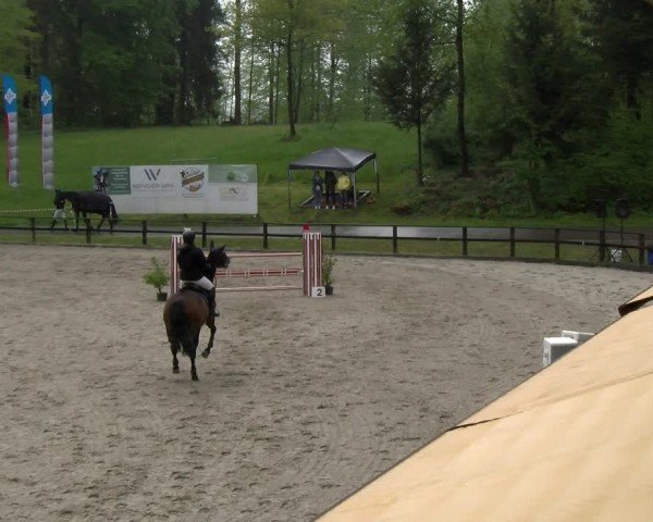 Equestrian Show Sins 2025