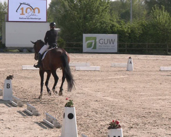 Reitturnier Nienberge 2025
