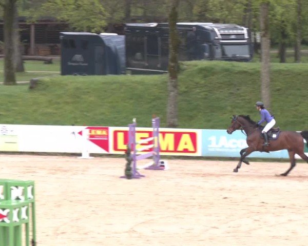 Internationales Springturnier Stadl-Paura 2025