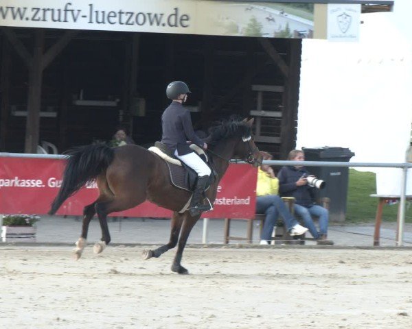 Reitturnier Olfen 2025