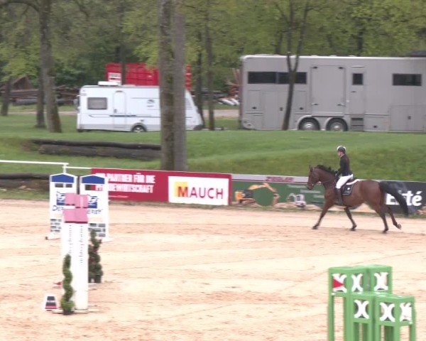 Internationales Springturnier Stadl-Paura 2025