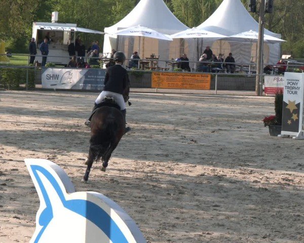 Reitturnier Olfen 2025