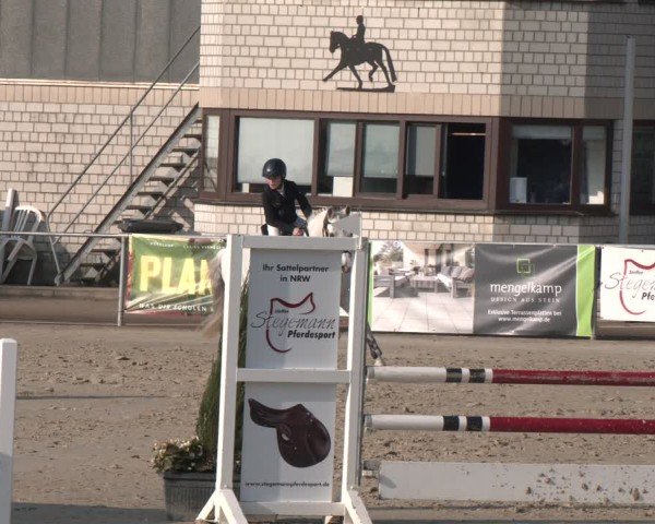 Reitturnier Olfen 2025