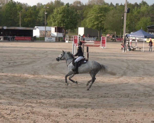 Reitturnier Olfen 2025