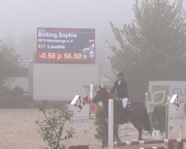 Reitturnier Nienberge 2025