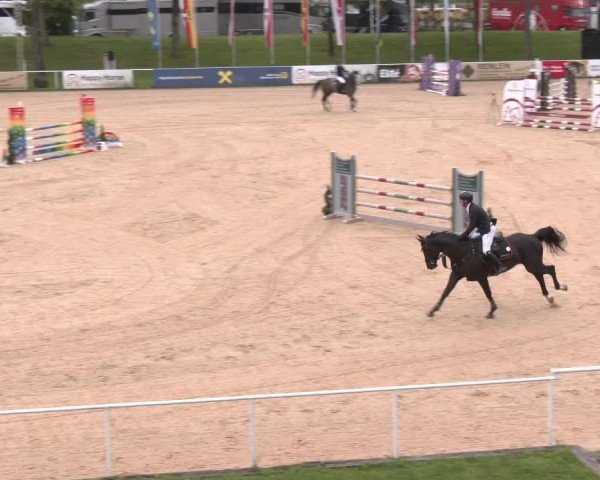 Internationales Springturnier Stadl-Paura 2025