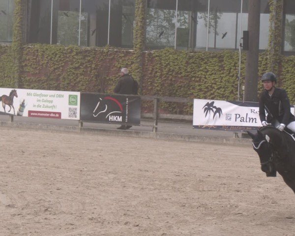 Reitturnier Nienberge 2025