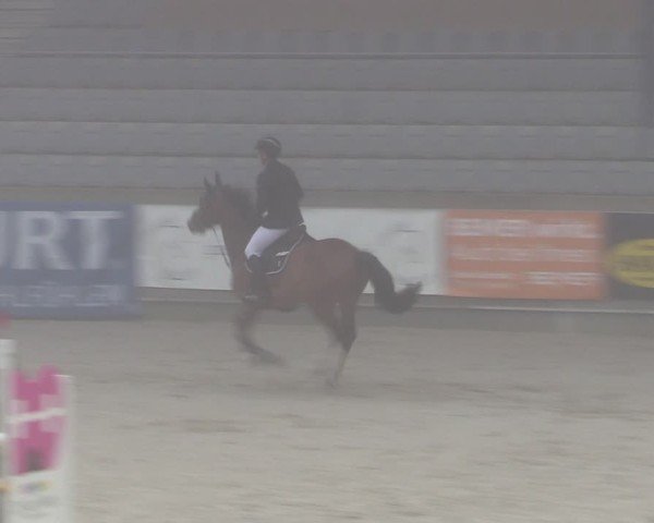 Reitturnier Aachen 2025