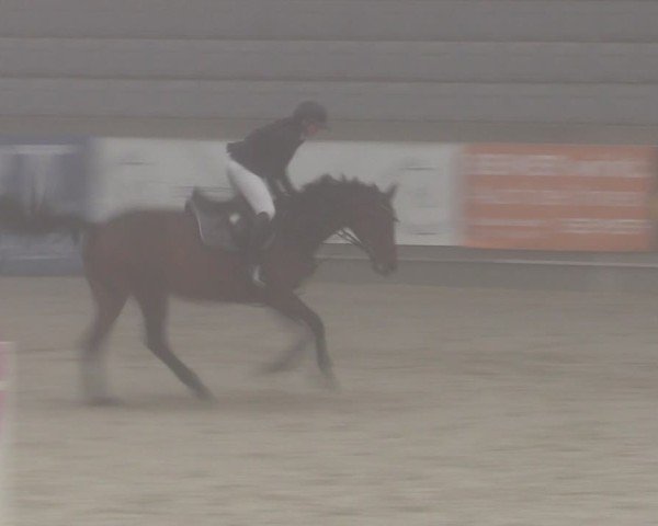 Reitturnier Aachen 2025