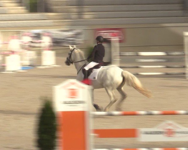 Reitturnier Aachen 2025
