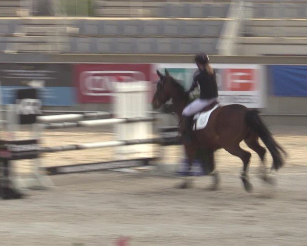 Reitturnier Aachen 2025