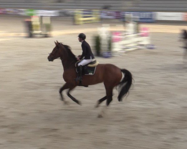 Reitturnier Aachen 2025