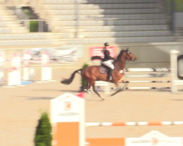 Reitturnier Aachen 2025