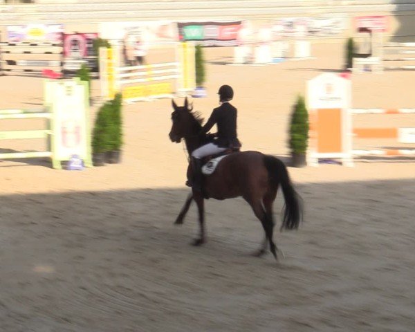 Reitturnier Aachen 2025