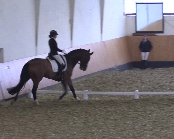 Reitturnier Datteln 2021