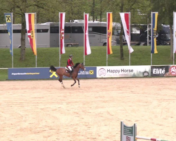Internationales Springturnier Stadl-Paura 2025