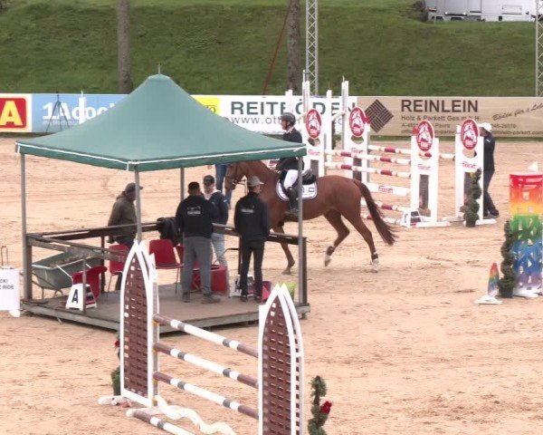 Internationales Springturnier Stadl-Paura 2025