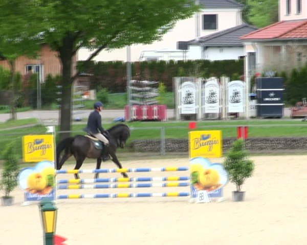 Reitturnier Ingolstadt-Hagau/Obb. 2025