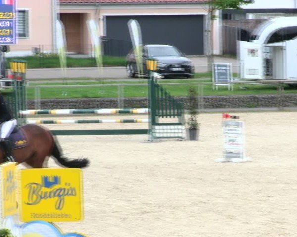 Reitturnier Ingolstadt-Hagau/Obb. 2025