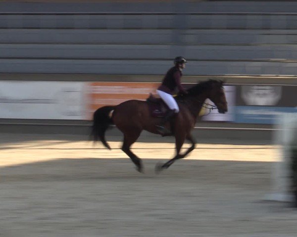 Reitturnier Aachen 2025