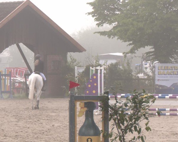Reitturnier Nienberge 2025