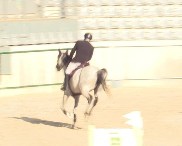 Reitturnier Aachen 2025